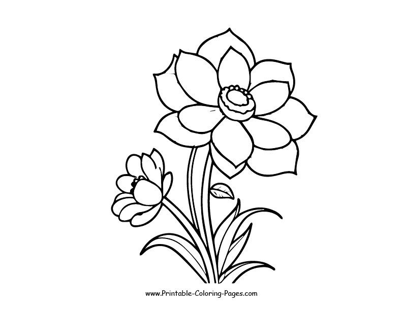 Flowers Coloring Pages