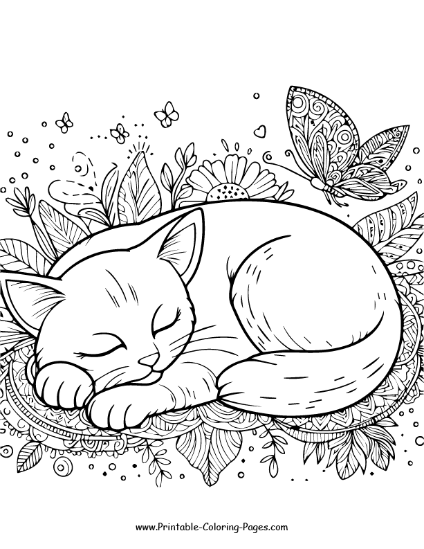 Cat nap 7